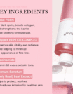 PDRN Pink Cica Soothing Toner 250ml - 2